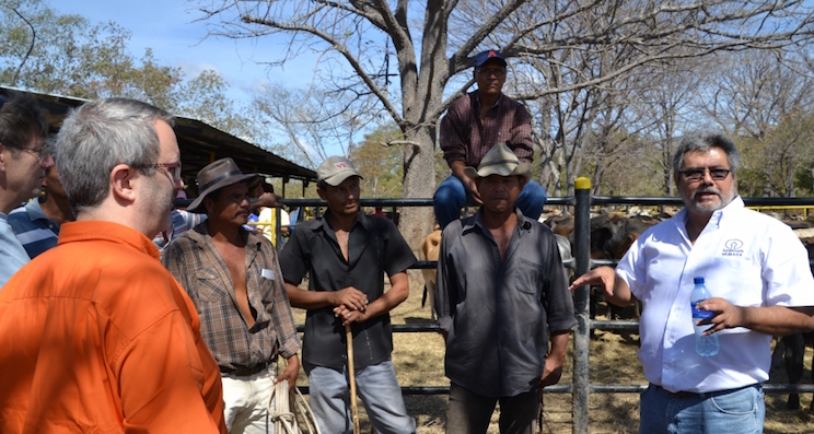 Inversionistas daneses satisfechos con oportunidades empresariales en Nicaragua